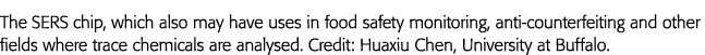 The SERS chip, which also may have uses in food safety monitoring, anti-counterfeiting and other fields where trace c   