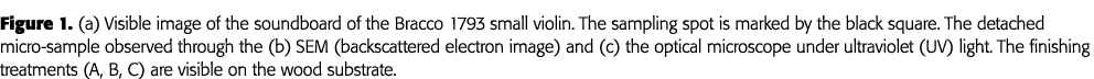 Figure 1  (a) Visible image of the soundboard of the Bracco 1793 small violin  The sampling spot is marked by the bla   