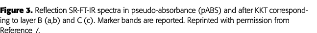 Figure 3  Reflection SR-FT-IR spectra in pseudo-absorbance (pABS) and after KKT corresponding to layer B (a,b) and C    