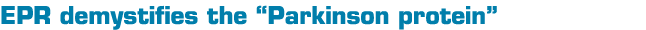 EPR demystifies the  Parkinson protein  