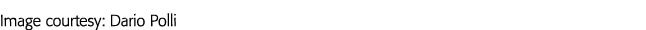 Image courtesy: Dario Polli