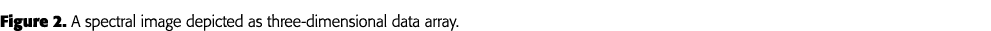 Figure 2  A spectral image depicted as three-dimensional data array 