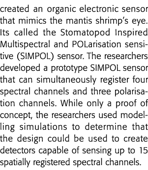 created an organic electronic sensor that mimics the mantis shrimp s eye  Its called the Stomatopod Inspired Multispe   