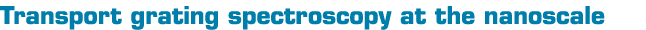 Transport grating spectroscopy at the nanoscale 