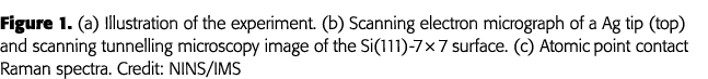 Figure 1  (a) Illustration of the experiment  (b) Scanning electron micrograph of a Ag tip (top) and scanning tunnell   