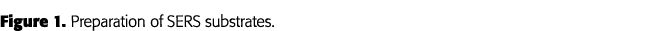 Figure 1  Preparation of SERS substrates 