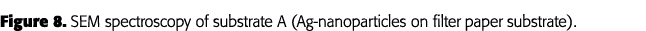 Figure 8  SEM spectroscopy of substrate A (Ag-nanoparticles on filter paper substrate) 