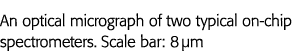 An optical micrograph of two typical on-chip spectrometers  Scale bar: 8  m
