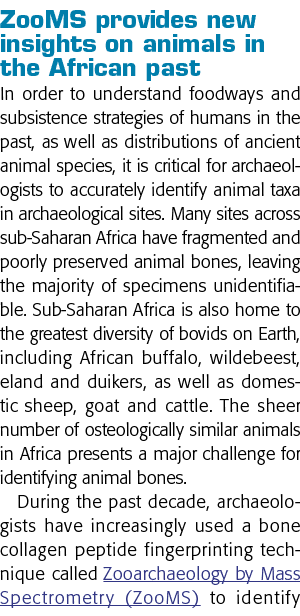 ZooMS provides new insights on animals in the African past In order to understand foodways and subsistence strategies   