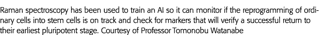 Raman spectroscopy has been used to train an AI so it can monitor if the reprogramming of ordinary cells into stem ce   