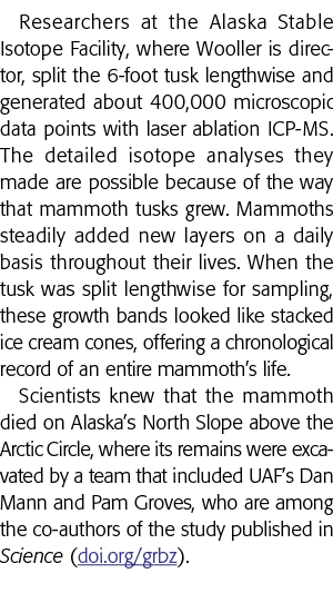 Researchers at the Alaska Stable Isotope Facility, where Wooller is director, split the 6-foot tusk lengthwise and ge   