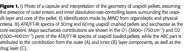 Figure 1  I) Photo of a capsule and interpretation of the geometry of urapidil pellets, assuming the presence of oute   