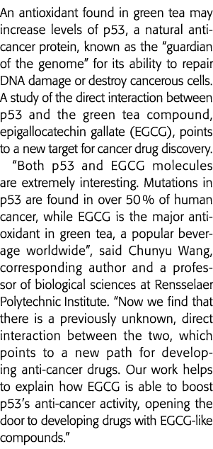 An antioxidant found in green tea may increase levels of p53, a natural anti-cancer protein, known as the  guardian o   