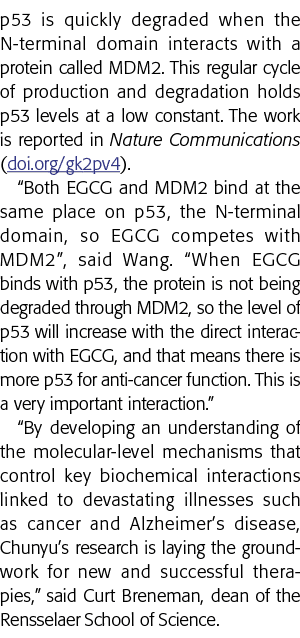 p53 is quickly degraded when the N-terminal domain interacts with a protein called MDM2  This regular cycle of produc   