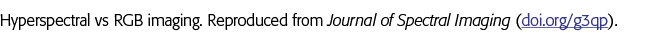 Hyperspectral vs RGB imaging  Reproduced from Journal of Spectral Imaging (doi org g3qp) 