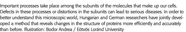 Important processes take place among the subunits of the molecules that make up our cells  Defects in these processes   