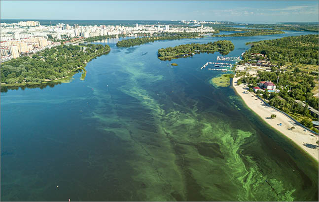 Green water in the Dnieper river on a hot summer day, blooming algae in the water  Clear texture of green algae in water  Aerial drone view 