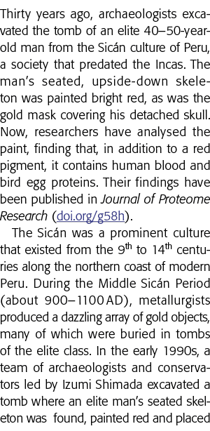 Thirty years ago, archaeologists excavated the tomb of an elite 40 50-year-old man from the Sicán culture of Peru, a    