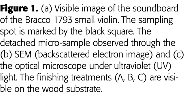 Figure 1  (a) Visible image of the soundboard of the Bracco 1793 small violin  The sampling spot is marked by the bla   