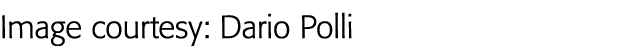 Image courtesy: Dario Polli