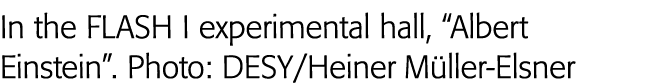 In the FLASH I experimental hall,  Albert Einstein   Photo: DESY Heiner Müller-Elsner
