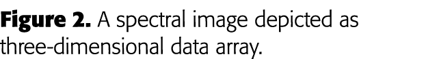 Figure 2  A spectral image depicted as three-dimensional data array 