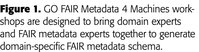 Figure 1  GO FAIR Metadata 4 Machines workshops are designed to bring domain experts and FAIR metadata experts togeth   