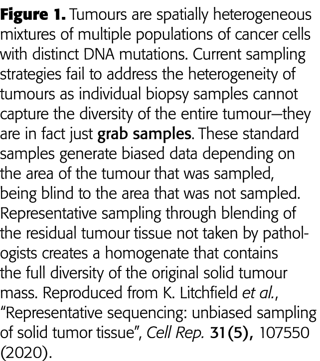 Figure 1  Tumours are spatially heterogeneous mixtures of multiple populations of cancer cells with distinct DNA muta   