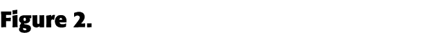 Figure 2 