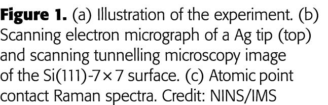 Figure 1  (a) Illustration of the experiment  (b) Scanning electron micrograph of a Ag tip (top) and scanning tunnell   