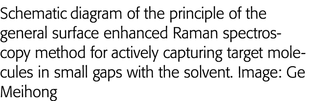 Schematic diagram of the principle of the general surface enhanced Raman spectroscopy method for actively capturing t   
