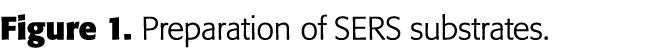 Figure 1  Preparation of SERS substrates 