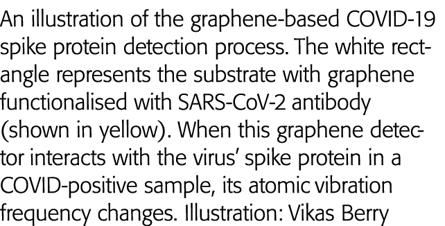 An illustration of the graphene-based COVID-19 spike protein detection process  The white rectangle represents the su   
