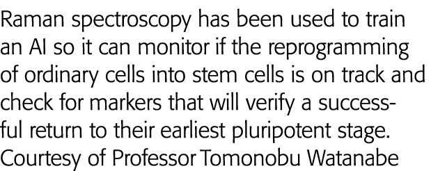 Raman spectroscopy has been used to train an AI so it can monitor if the reprogramming of ordinary cells into stem ce   
