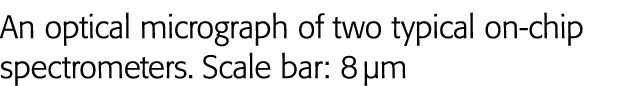 An optical micrograph of two typical on-chip spectrometers  Scale bar: 8  m