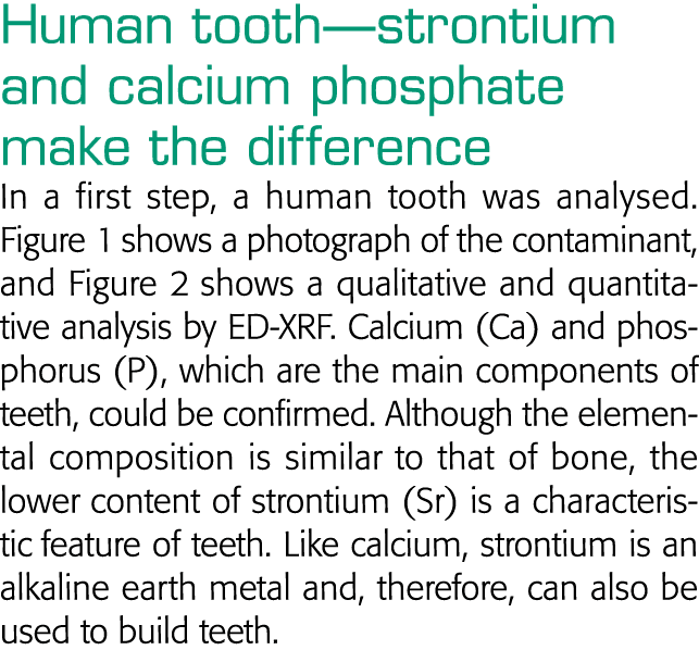 Human tooth—strontium and calcium phosphate make the difference In a first step, a human tooth was analysed  Figure 1   