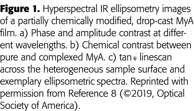 Figure 1  Hyperspectral IR ellipsometry images of a partially chemically modified, drop-cast MyA film  a) Phase and a   