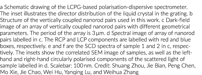a Schematic drawing of the LCPG-based polarisation-dispersive spectrometer  The inset illustrates the director distri   