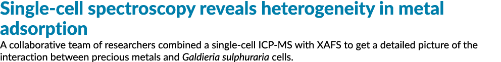 Single-cell spectroscopy reveals heterogeneity in metal adsorption A collaborative team of researchers combined a sin   