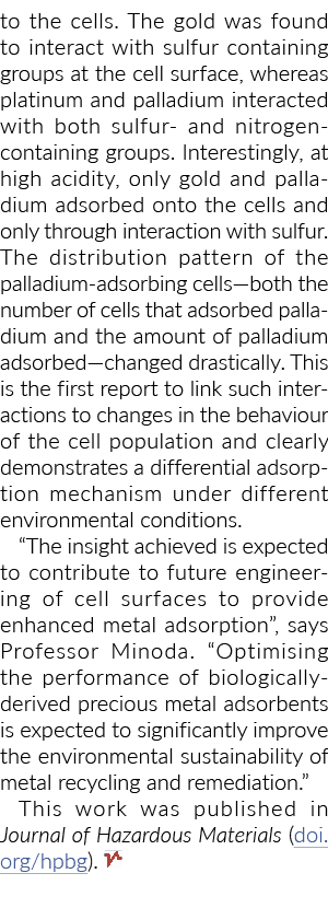 to the cells  The gold was found to interact with sulfur containing groups at the cell surface, whereas platinum and    