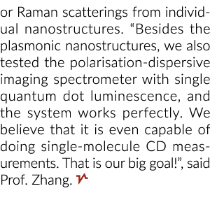 or Raman scatterings from individual nanostructures   Besides the plasmonic nanostructures, we also tested the polari   