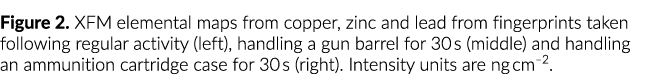 Figure 2  XFM elemental maps from copper, zinc and lead from fingerprints taken following regular activity (left), ha   