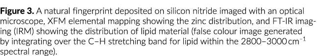 Figure 3  A natural fingerprint deposited on silicon nitride imaged with an optical microscope, XFM elemental mapping   
