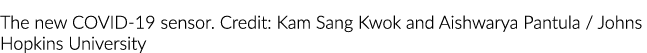 The new COVID-19 sensor  Credit: Kam Sang Kwok and Aishwarya Pantula   Johns Hopkins University
