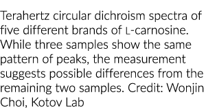 Terahertz circular dichroism spectra of five different brands of l-carnosine  While three samples show the same patte   