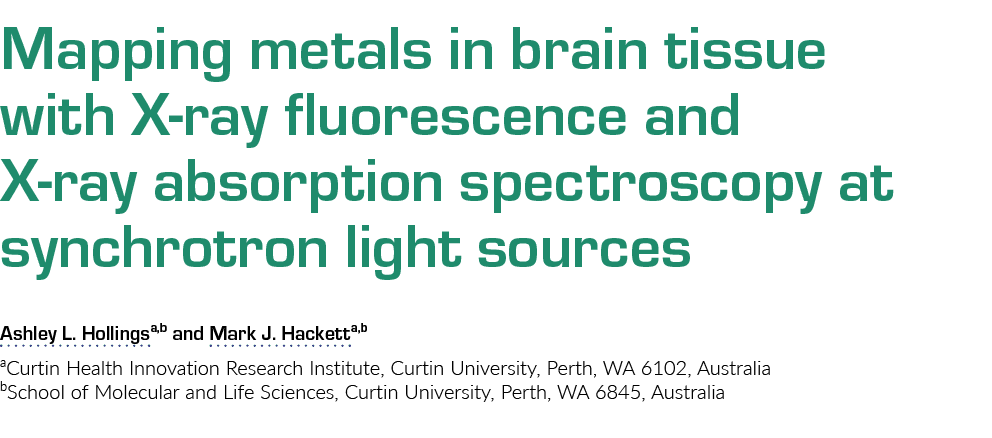 Mapping metals in brain tissue with X-ray fluorescence and X-ray absorption spectroscopy at synchrotron light sources   