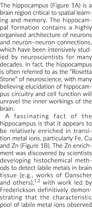 The hippocampus (Figure 1A) is a brain region critical to spatial learning and memory  The hippocampal formation cont   