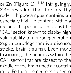 or Zn (Figure 1) 11,12 Intriguingly, XRF revealed that the healthy rodent hippocampus contains an especially high Fe    