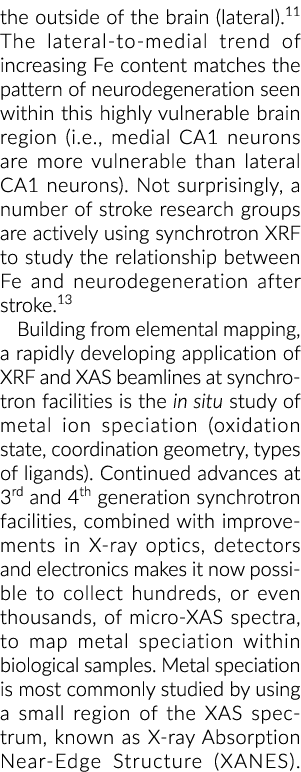 the outside of the brain (lateral) 11 The lateral-to-medial trend of increasing Fe content matches the pattern of neu   