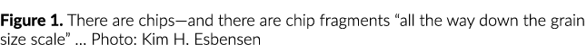 Figure 1  There are chips—and there are chip fragments  all the way down the grain size scale    Photo: Kim H  Esbensen
